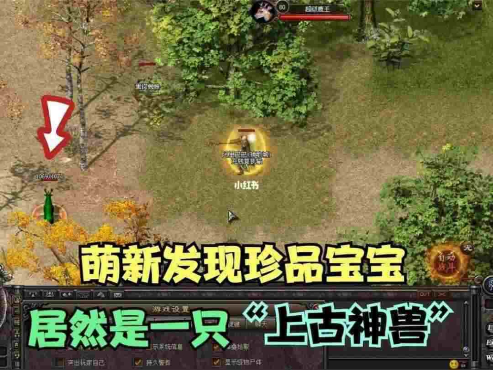 传奇手游哪个英雄厉害,传奇手游哪个英雄最厉害?